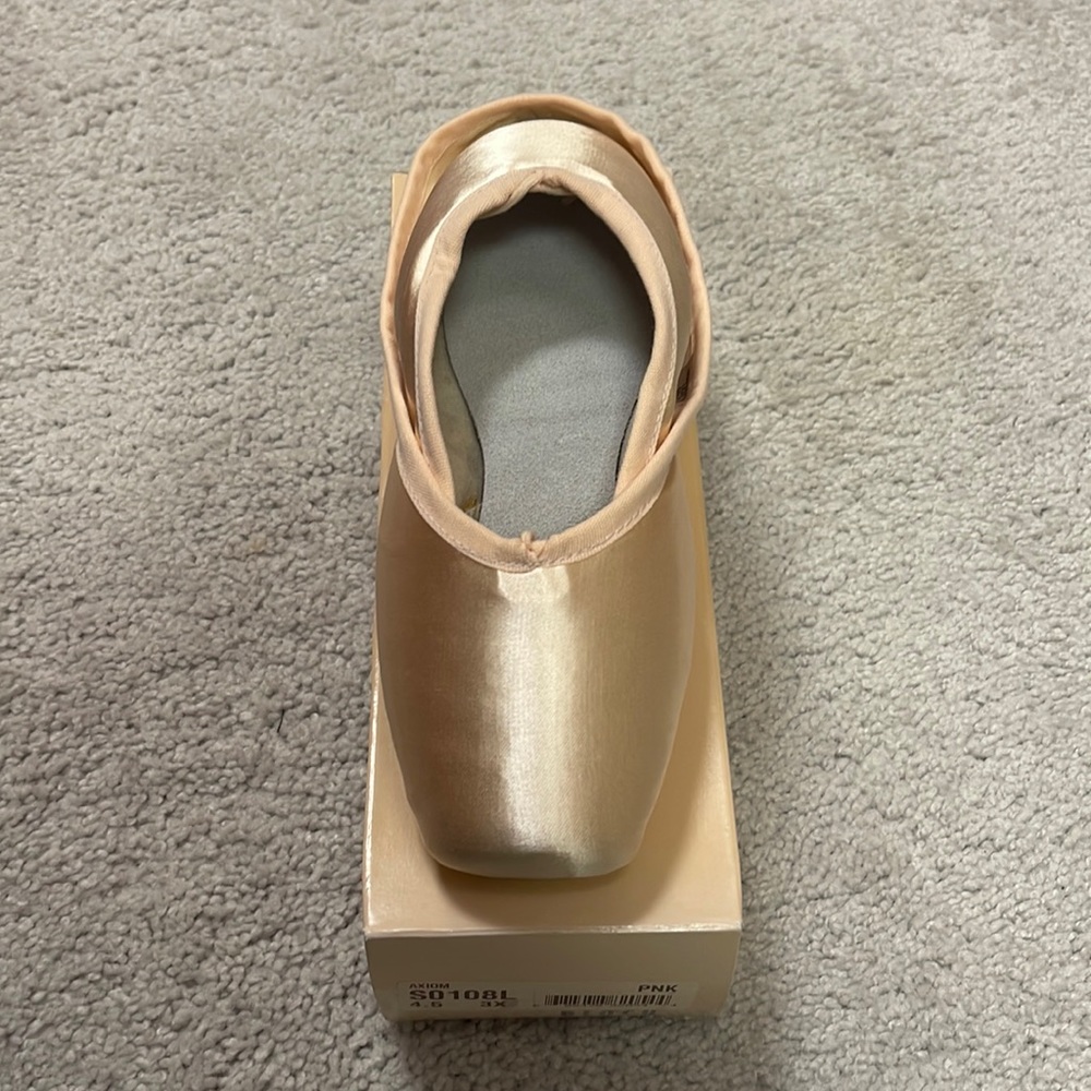 Bloch Axiom Pointe Shoe